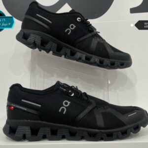 الاسود القديم -16